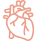 Heart Icon
