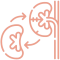 Kidney Icon