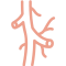 Vascular Icon